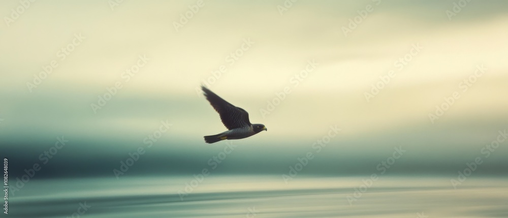 Naklejka premium A lone bird soars gracefully over blurred tranquil skies, symbolizing freedom and serenity in motion.