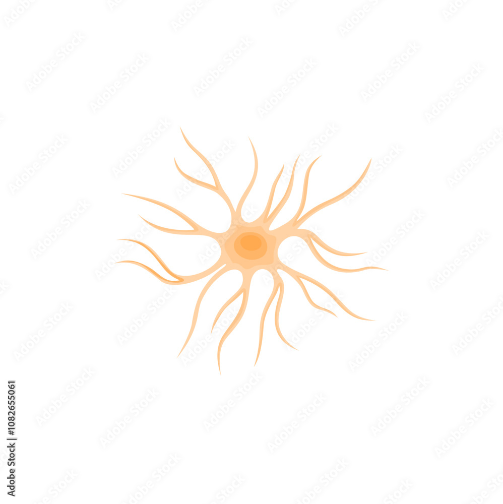 Vector illustration of Astrocyte Vector illustration of Astrocyte