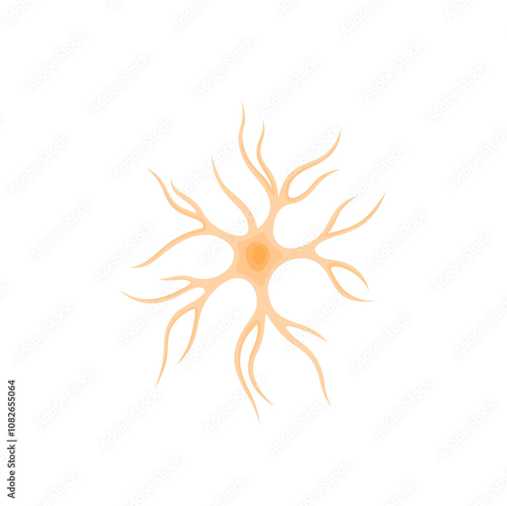 Naklejka premium Vector illustration of Astrocyte