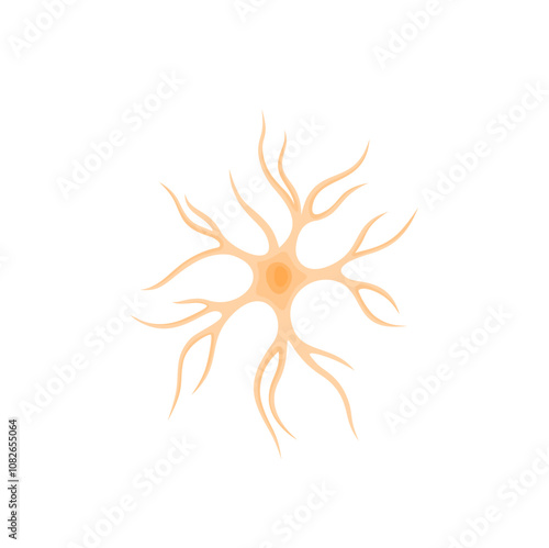 Vector illustration of Astrocyte