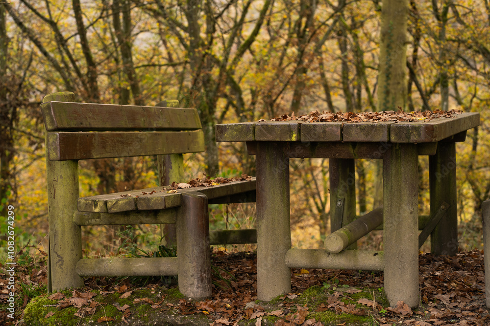 Naklejka premium A wooden table and bench beneath a canopy of autumn leaves, perfect for content on hiking, mountain trails, or resting spots in nature after an invigorating climb.