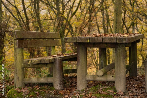 A wooden table and bench beneath a canopy of autumn leaves, perfect for content on hiking, mountain trails, or resting spots in nature after an invigorating climb.