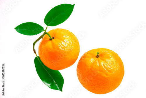 tangerines isolated on white isolated on white background