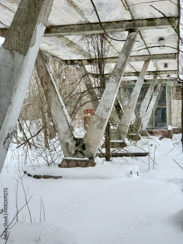Chornobyl Zone