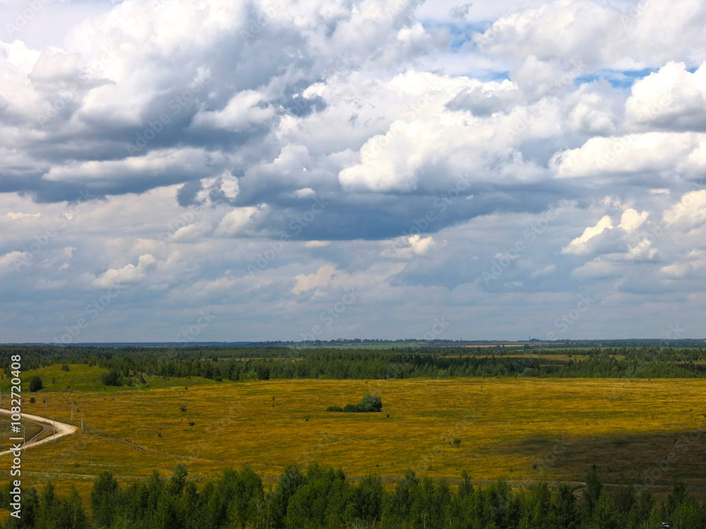 wide summer field with trees in the distance under a calm blue sky wide summer field with trees in the distance under a calm blue sky