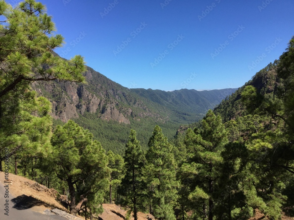 Fototapeta premium Scenic view of a vast mountain range covered with lush green pine forests under a clear blue sky, offering a sense of tranquility and natural beauty. Perfect for nature lovers and explorers.