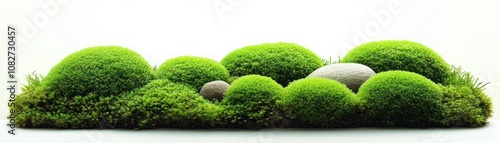 Wallpaper Mural A serene arrangement of lush green moss and stones, evoking tranquility and nature. Torontodigital.ca