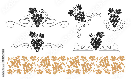 Grape concept. Vine pattern vector illustration. Grapevine dividers, corner design elements set