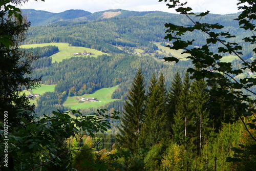 Blick in die Mürzsteger Alpen photo