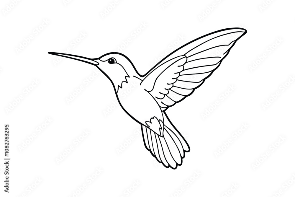 Fototapeta premium Hummingbird Line Art Vector - Delicate Flying Bird Outline, Minimalist Black & White Tropical Design
