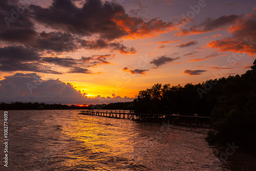 Mangrove forest landscape in the evening in Thailand,Tropical mangrove forest under sunlight with cloudy blue sky in phang nga bay, Thailand. photo