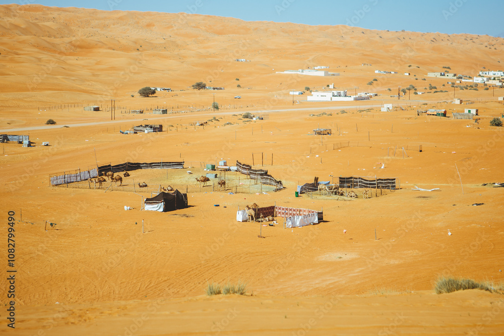 Fototapeta premium Golden desert sand dunes. Muscat, Oman’s port capital, sits on the Gulf of Oman surrounded by mountains and desert.