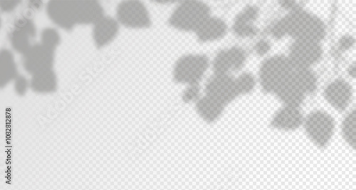 Glare from the sun's rays on the wall. Blurred shadows from leaves and plants in the room. Soft overlay of natural light. Abstract background for product 