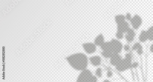 Glare from the sun's rays on the wall. Blurred shadows from leaves and plants in the room. Soft overlay of natural light. Abstract background for product 