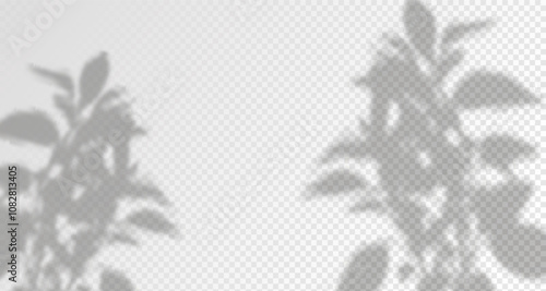 Glare from the sun's rays on the wall. Blurred shadows from leaves and plants in the room. Soft overlay of natural light. Abstract background for product 