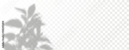 Glare from the sun's rays on the wall. Blurred shadows from leaves and plants in the room. Soft overlay of natural light. Abstract background for product 