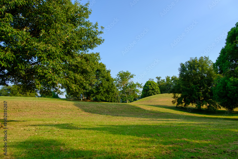 Naklejka premium Rolling Green Landscape Under Clear Blue Sky