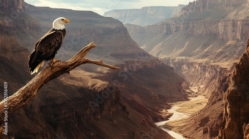 A majestic bald eagle perched on a branch overlooking a vast canyon.