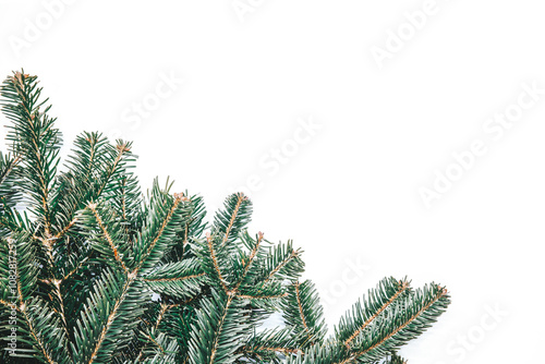 Christmas, New Year, Winter border with fir branches of Christmas tree, Xmas element for festive design