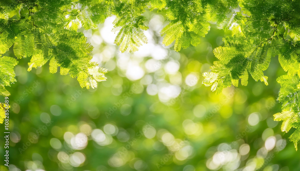 Fresh Green Leaves with Sunlight and Natural Bokeh Background Fresh Green Leaves with Sunlight and Natural Bokeh Background