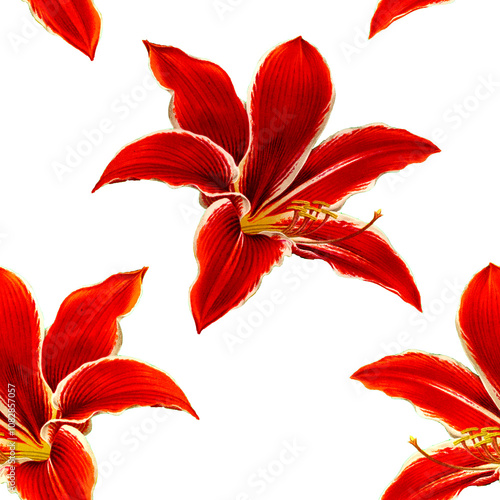 patron de flores hibiscus sobre fondo blanco