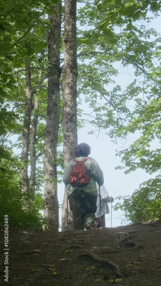 Vertical shot of adult friends with hiking poles trekking on trails in summer forest, back view Vertical shot of adult friends with hiking poles trekking on trails in summer forest, back view