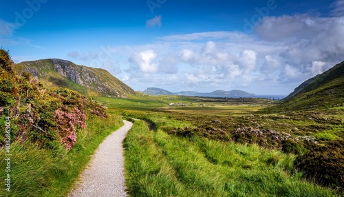 Typical Irish landscape in the countryside on a sunny day, Ireland Country