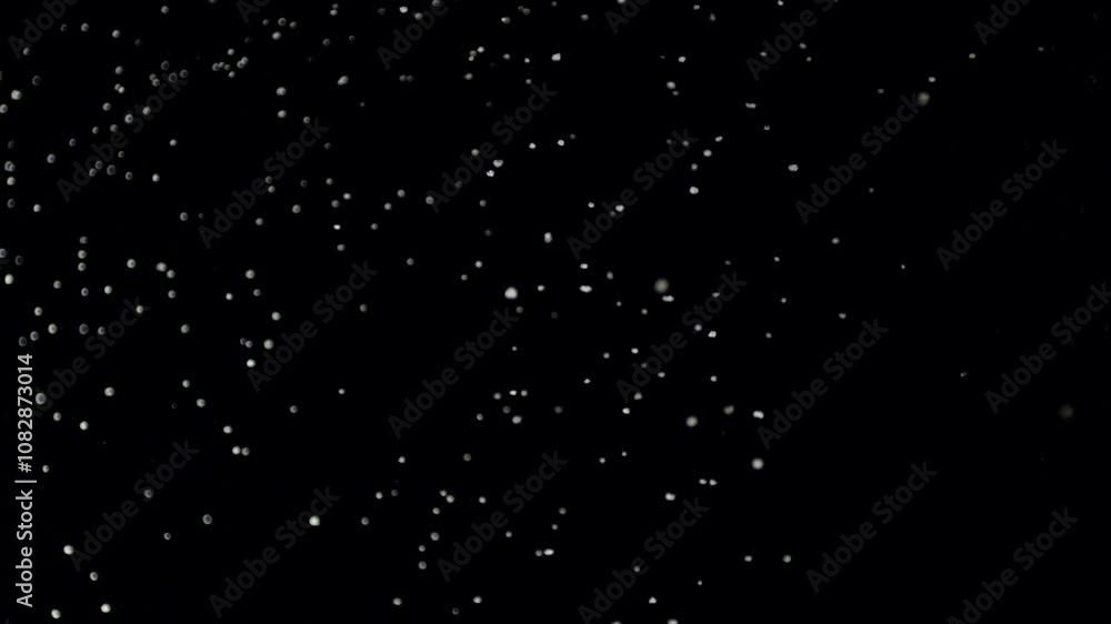 A dense heavy blizzard snowstorm VFX insert in slow-motion on black screen. Black screen Christmas snowstorm. Particles swirling moved by wind. Snow is moving through space. Snowstorm on black. A dense heavy blizzard snowstorm VFX insert in slow-motion on black screen. Black screen Christmas snowstorm. Particles swirling moved by wind. Snow is moving through space. Snowstorm on black.