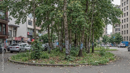 City forest with graffiti trees and urban decay