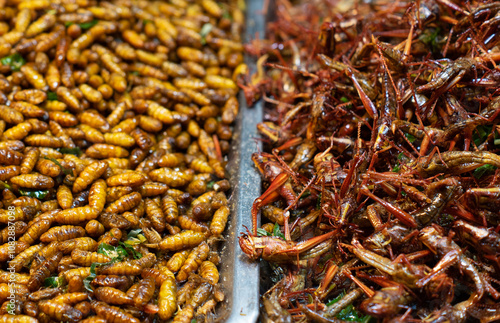 Photography Fried insect, Fried Insect larvae street food of Thailand