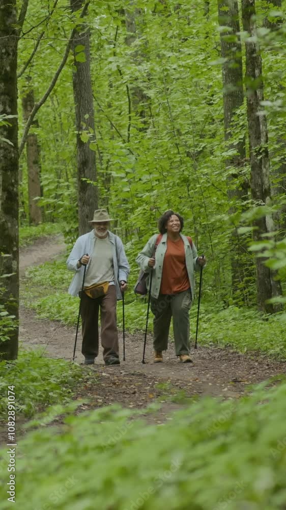 Vertical shot of mature multi-ethnic friends trekking with hiking poles on trails in green forest Vertical shot of mature multi-ethnic friends trekking with hiking poles on trails in green forest