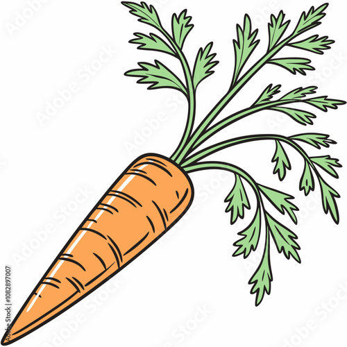 carrot isolated on white