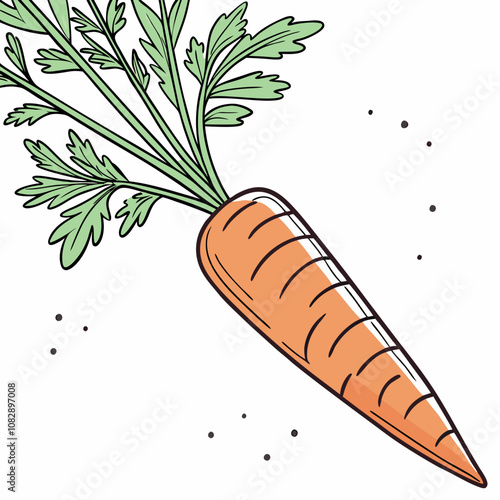 carrots and carrot