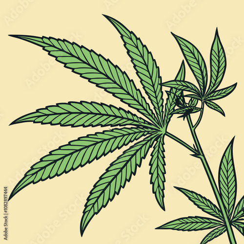 cannabis leaf vector illustration
