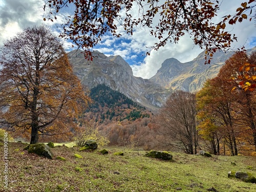 Photos Hayedo abetal pirenaico en otoño
