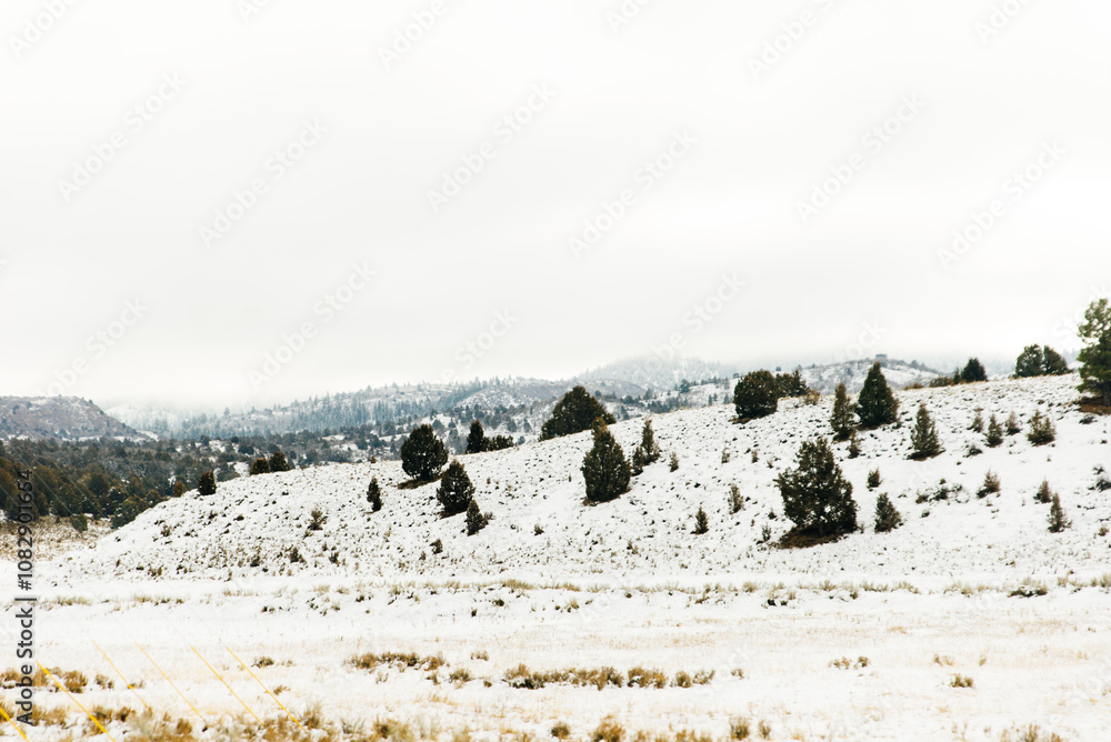 winter snow covered fir trees on mountainside on blue sky background winter snow covered fir trees on mountainside on blue sky background