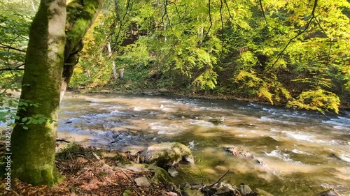 Romantic rivers-Metuje, Czech republic