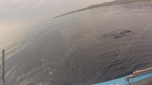 fisherman on a boat fishing a big fish Dorado Coryphaena Hippurus in Baja de los Muertos, California Sur, Mexico, America. Summer leisure and sport. Mahi Mahi fishing in Mexico. POV point of view. photo