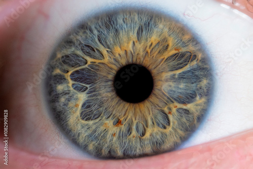 Macro close-up of a human eye with many intricate details and vibrant, unique colors, showcasing natural beauty and texture...