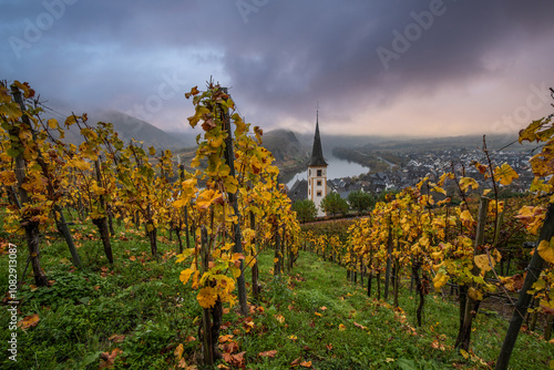 River in the fog winds through a valley between vineyards in a 180 degree loop. A great landscape and lighting in the morning. Church tower, Moselle, Bremm, Moselle loop, Rhineland-Palatinate, Germany photo