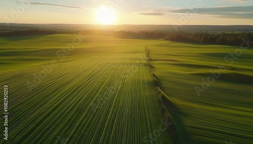 sunrise over the field