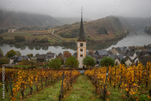 River in the fog winds through a valley between vineyards in a 180 degree loop. A great landscape and lighting in the morning. Church tower, Moselle, Bremm, Moselle loop, Rhineland-Palatinate, Germany photo