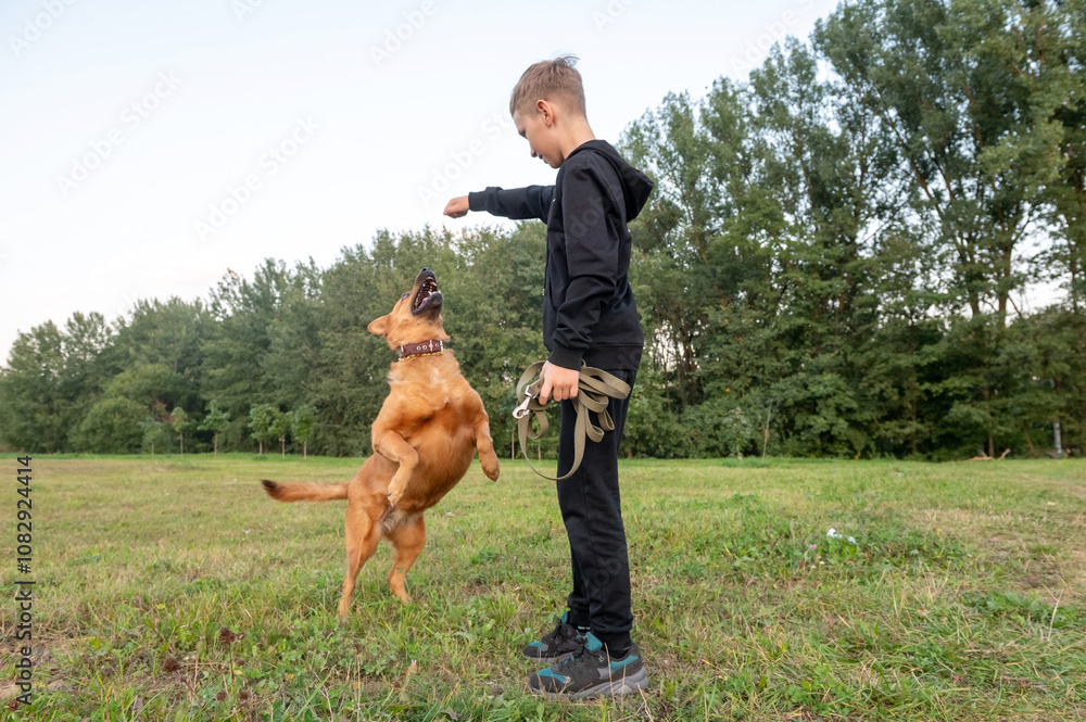 Joyful Boy Playing with His Leaping Dog in a Green Park Thankful For My Dog Day Joyful Boy Playing with His Leaping Dog in a Green Park Thankful For My Dog Day