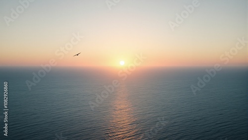 Majestic bird soar over ocean at sunrise embodying freedom photo