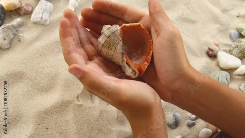 digs a large seashell out of the sea sand with his hands. Sunny coast of the sea and ocean. Symbol of rest and vacations in the resort
