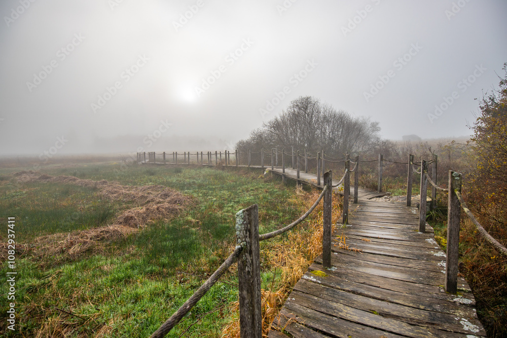 A wooden walkway or pier leads through a nature reserve in thick fog. Landscape shot in the middle of nature in autumn. Baldenau castle ruins, Morbach, Hunsrück, Rhineland Palatinate A wooden walkway or pier leads through a nature reserve in thick fog. Landscape shot in the middle of nature in autumn. Baldenau castle ruins, Morbach, Hunsrück, Rhineland Palatinate