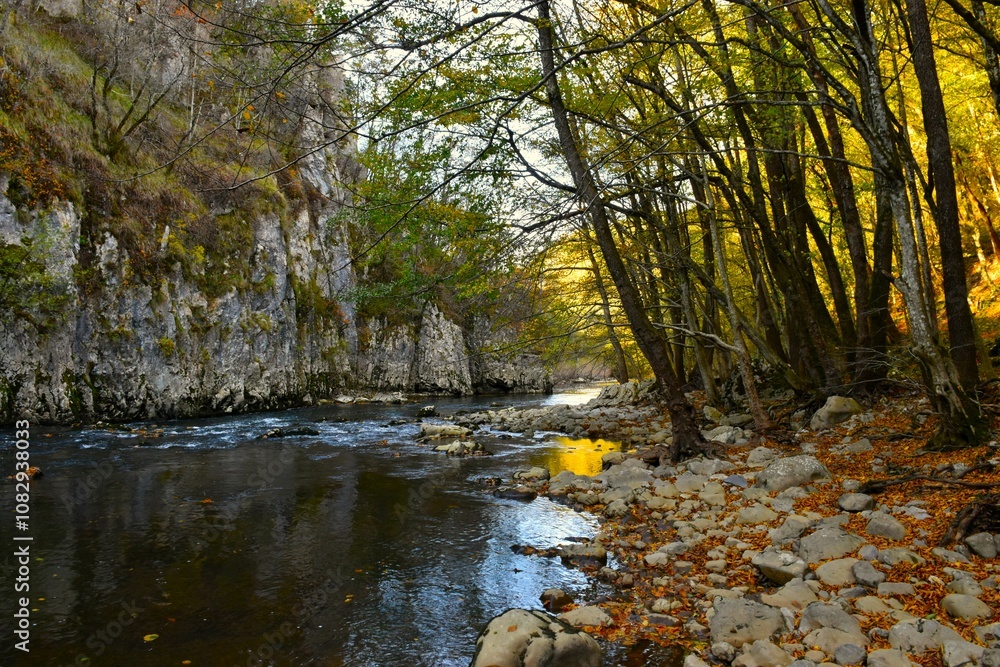 Fototapeta premium Reka river canyon in Primorska, Slovenia