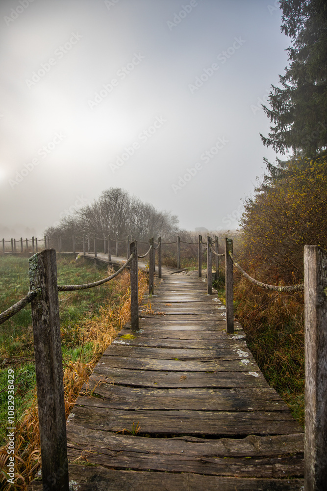 A wooden walkway or pier leads through a nature reserve in thick fog. Landscape shot in the middle of nature in autumn. Baldenau castle ruins, Morbach, Hunsrück, Rhineland Palatinate A wooden walkway or pier leads through a nature reserve in thick fog. Landscape shot in the middle of nature in autumn. Baldenau castle ruins, Morbach, Hunsrück, Rhineland Palatinate