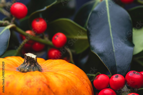 A studio macro shot for a theme of Equinox, which has just seen us enter Autumn, with a miniature pumpkin set against foliage and berries from a holly bush, both signifiers that Autumn has arrived.  