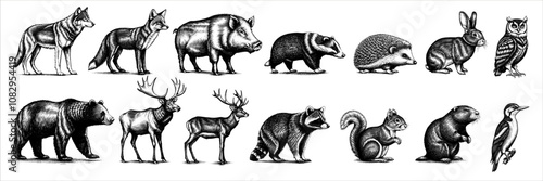 Vintage Engraved Forest Animals Collection. Ink style, hand drawn illustrations set. Isolated on white background, vector illustration.